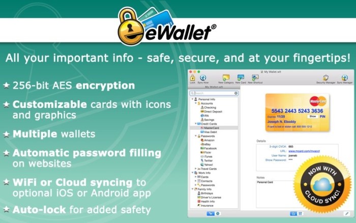 EWallet 8.3.8 Download
